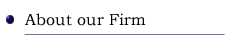 About Our Firm